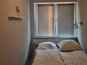 ein Bett mit zwei Kissen in einem Zimmer mit einem Fenster in der Unterkunft Neuwerk Modern retreat in Wangerooge