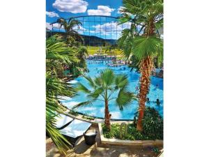 a resort with a large swimming pool with palm trees at Haus Rieslehof Apartment 11 in Titisee-Neustadt