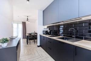 クルシュコフツェにあるApartament VELO Czorsztynのシンクとカウンタートップのあるキッチン