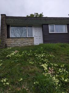 a house with a field of flowers in front of it at Cosy Cornish Chalet Camelford Port Isaac in Camelford
