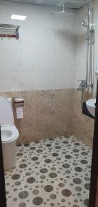 ein Bad mit einem WC und einem Waschbecken in der Unterkunft Discovery Hotel in Sa Pa