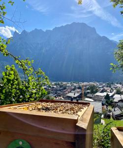 uma caixa cheia de abelhas com uma montanha ao fundo em Sonnenhof em Mittenwald