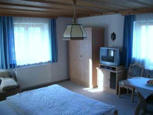 Schlafzimmer mit einem Bett und einem TV in der Unterkunft Andrea Schmaranzer - Privatzimmer in Gosau