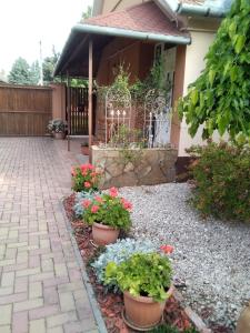 a yard with pots of flowers in front of a house at Hársfa apartman in Makó