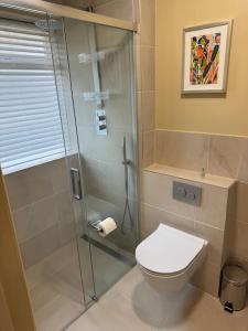 La salle de bains est pourvue de toilettes et d'une douche en verre. dans l'établissement Weybridge garden cottage, à Weybridge