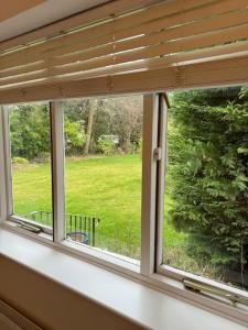 une fenêtre avec vue sur une cour verdoyante dans l'établissement Weybridge garden cottage, à Weybridge