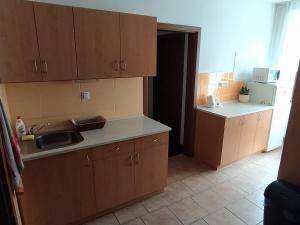 Kuchyň nebo kuchyňský kout v ubytování Penzion a restaurace U Pošů