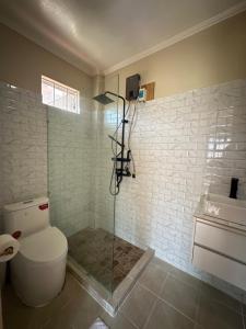 a bathroom with a toilet and a glass shower at Riverside 2bed cozy apartment in La Trinidad +18 photos
