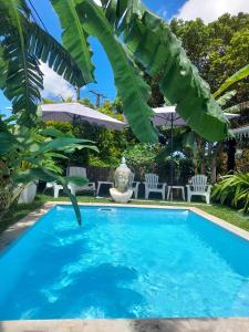 a blue swimming pool with chairs and a palm tree at Freedomhome974 in Le Tampon