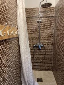a shower with a shower curtain in a bathroom at Chalet entre océan et foret au calme in Ondres +13 photos