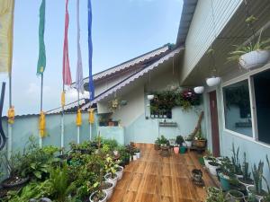 a balcony with potted plants on a house at Lama Hotel in Gangtok