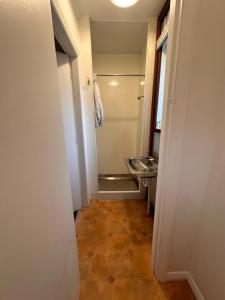 uma casa de banho com um lavatório e um espelho em Basic, Super 'Cosy' Cabin in The Middle of National Park and Mountains em Otira