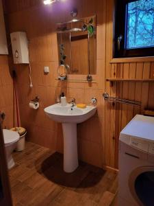 a bathroom with a sink and a toilet at Domek wypoczynkowy Gowidlino in Gowidlino