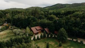 an aerial view of a house in the middle of a forest at Cabana Paradisul Verde Neamt in Târgu Neamț