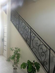 a staircase with a wrought iron railing and two plants at Чавандоz in Yakkasaray
