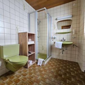 ein Badezimmer mit grünem WC und Dusche in der Unterkunft Berggasthaus Steinerkogl in Brandberg