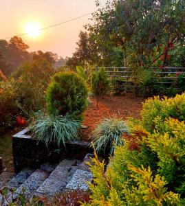 a garden with plants and a sunset in the background at Iartong Guest House in Mawlynnong +5 photos