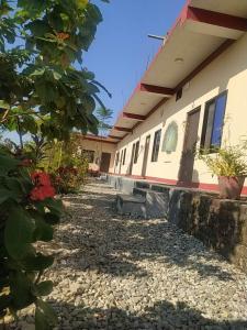 a building with a pathway in front of it at Busy Bee Guest House in Sauraha