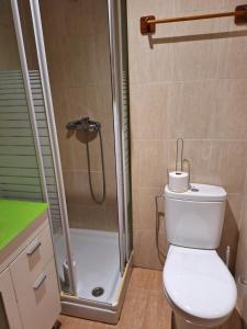 uma casa de banho com um chuveiro, um WC e um lavatório. em apartamento noviembre em Madri