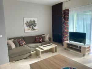 TV a/nebo společenská místnost v ubytování Aristos hillside apartment