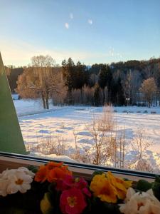 Loodusmaastik hotelli lähedal