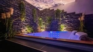 Fotografie z fotogalerie ubytování Appart' spa privatif Gray v destinaci Gray