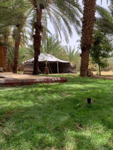a tent in the middle of a field with palm trees at كوخ المزرعة in Madain Saleh