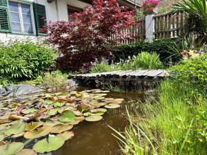 a pond with lilies in front of a house at Matscherhof Lana in Lana