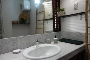 une salle de bain avec un lavabo et un miroir dans l'établissement Studio mya evasion 219 tartane martinique, à La Trinité