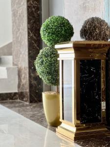 Fotografie z fotogalerie ubytování مارينا نجد للشقق الفندقية v destinaci Hotat bani tamim + 23 fotografií