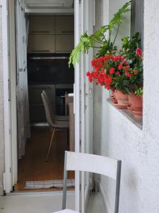 Foto de la galeria de Isa's Square Apartment a Shkodër