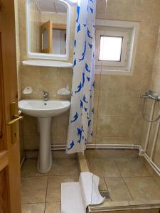 a bathroom with a sink and a shower with a shower curtain at Casa de Vacanţă Vârtop in Vartop +37 photos