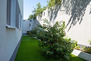 a garden with an orange tree next to a building at Apartman Oliva and Studio Delux for a family with swiming pool, free parking, terace with view at the sea in Podstrana