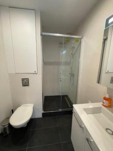 ein Bad mit einer Dusche, einem WC und einem Waschbecken in der Unterkunft Paris Maurice Nordmann superbe 2 pièces in Paris