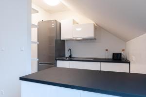 Kuchyňa alebo kuchynka v ubytovaní 2 Zimmer Wohnung in der Stadt - Grazy Appartment