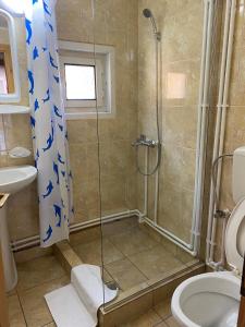 a bathroom with a shower and a toilet and a sink at Casa de Vacanţă Vârtop in Vartop