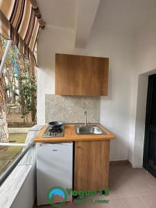 uma pequena cozinha com um lavatório e um balcão em Vogue Rooms em Golem