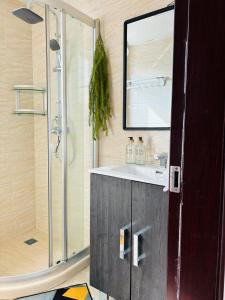 a bathroom with a sink and a shower at HAYDEN HOME in Libreville