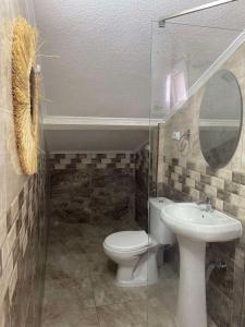 a bathroom with a toilet and a sink and a mirror at Zezo Apartments in Bitola