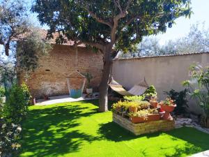 a garden with a hammock and a tree at Il giardino degli Ulivi house in Ortona