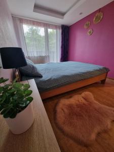 a bedroom with a bed and a purple wall at Apartment Kurši in Kolka