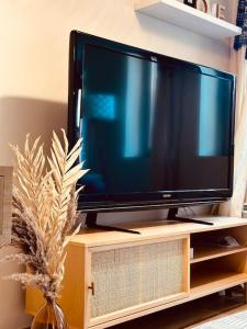 a flat screen tv sitting on a wooden stand at Cocon Flânerie & Bambou in Joigny
