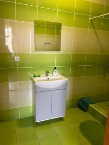 ein grünes Bad mit einem Waschbecken und einem Spiegel in der Unterkunft Mini-Hotel "Nord" in Chynadiyovo