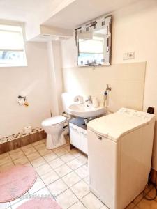 un baño con inodoro y lavabo en 1 Zimmer Apartment an der Apfelallee, en Jork