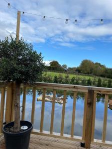 a potted tree sitting on a deck next to a body of water at Rusty Duck Retreat Shepherds Hut in Shedfield