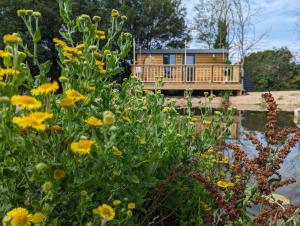 Rusty Duck Retreat Shepherds Hut外面的花园