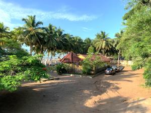 una calle con palmeras y una casa con un coche en Rent your own private beach bungalow, en Ampeni 18 fotos más
