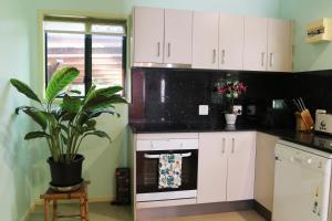 Rainforest Cabin in Doon Doon NSW的厨房或小厨房