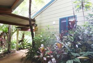 Rainforest Cabin in Doon Doon NSW外面的花园