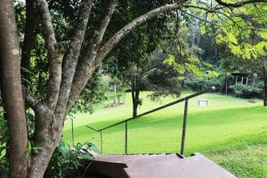 Rainforest Cabin in Doon Doon NSW外面的花园